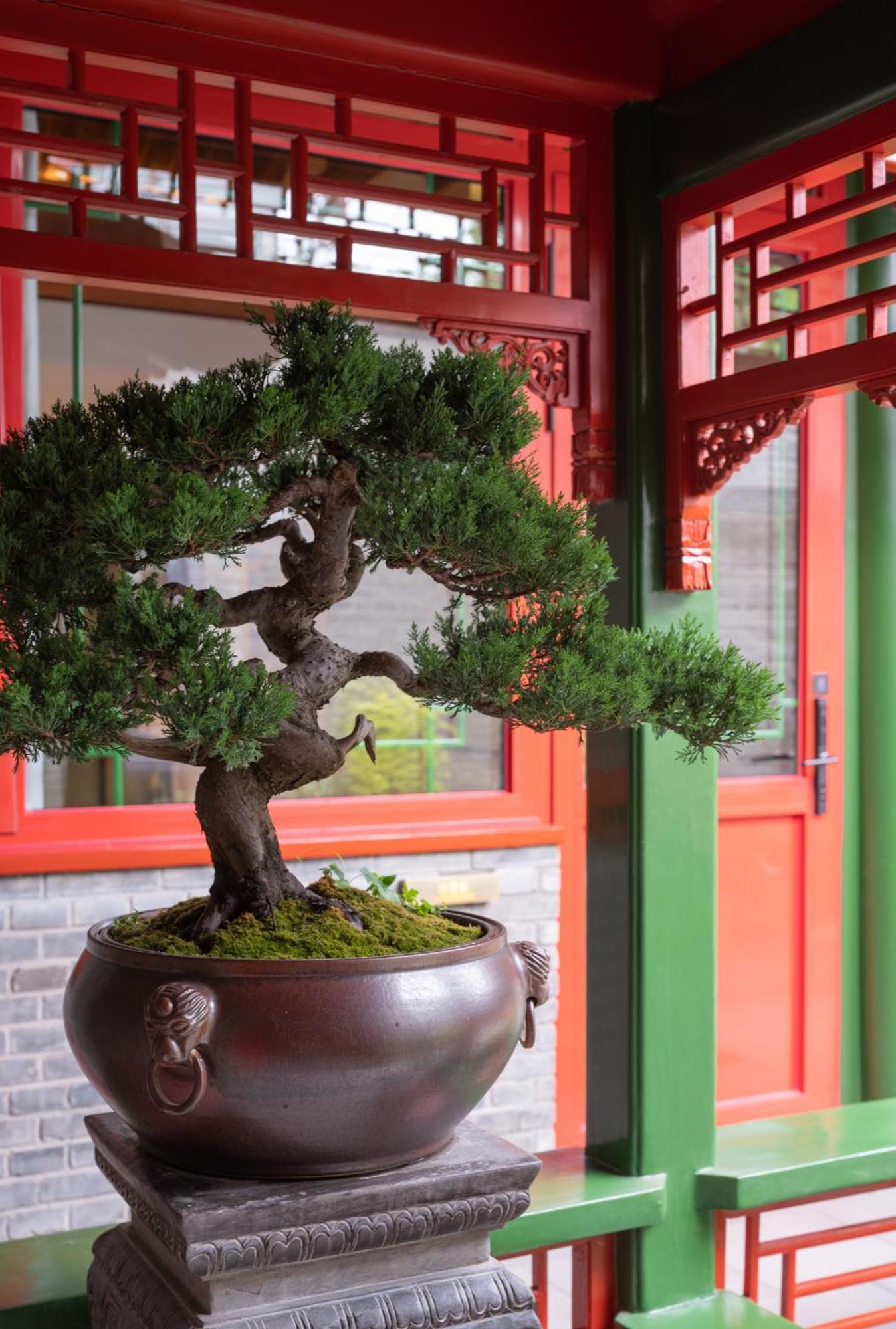 Xinxiang Yayuan Beijing Sihe Courtyard With Sky Garden Terrace Near Tiananmen Square Forbidden City Wangfujing Pedestrian Street And The Subway エクステリア 写真
